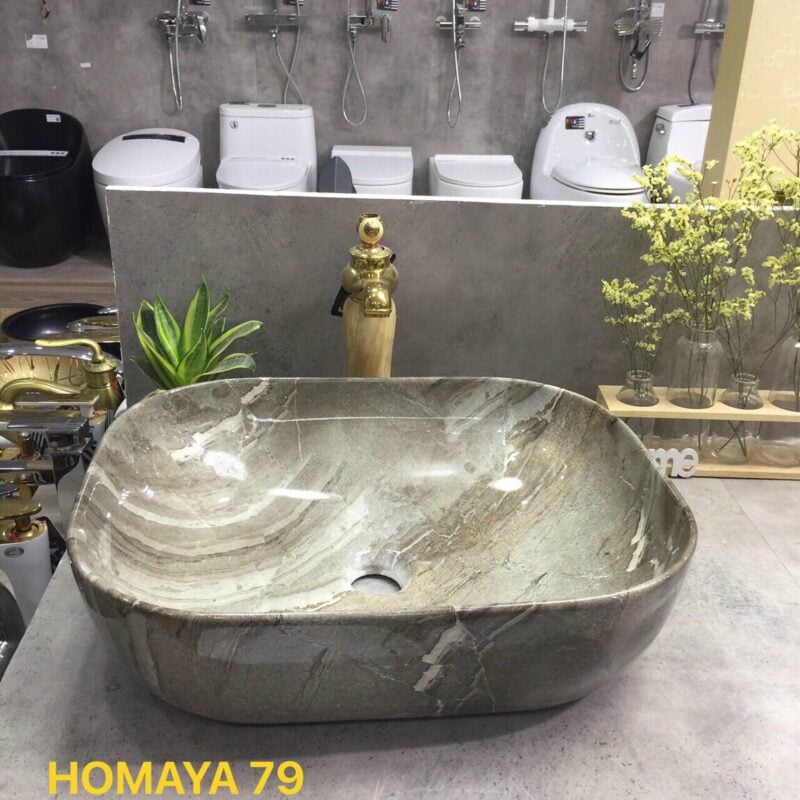 Chậu Homaya 79